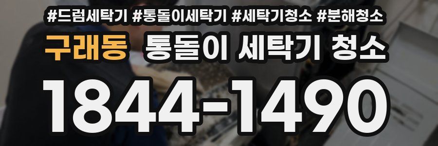 구래동 통돌이 세탁기 청소