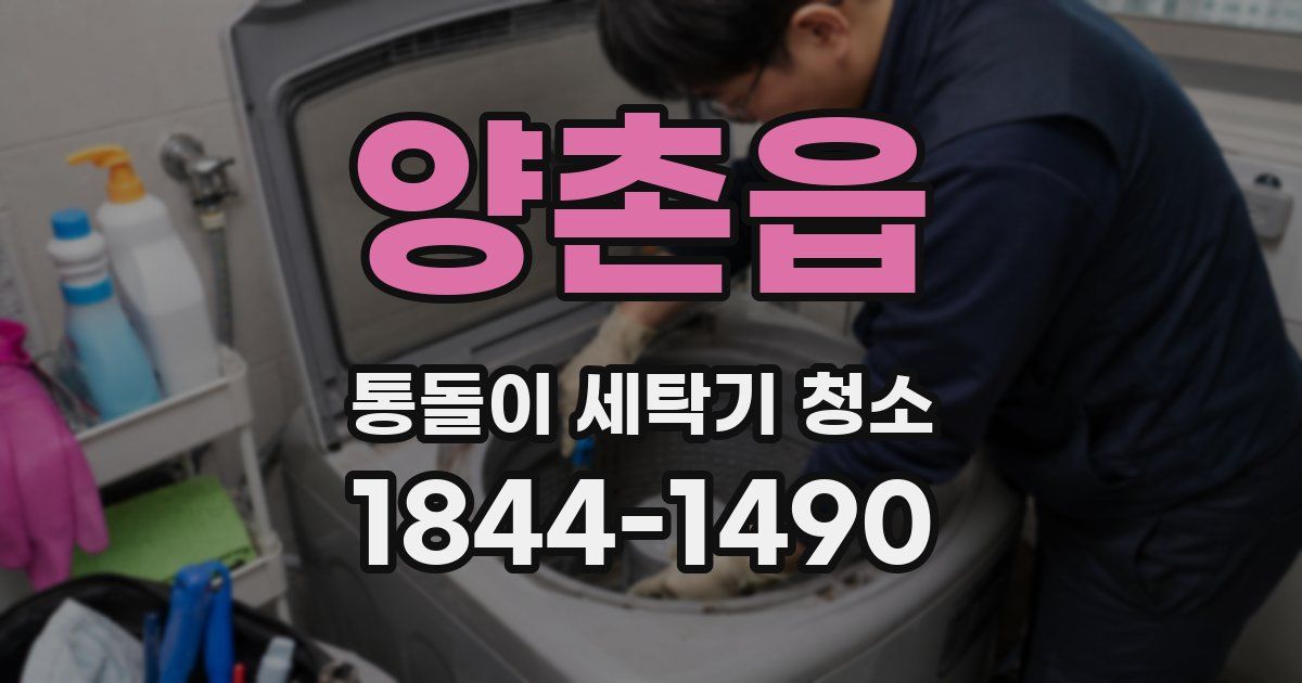 양촌읍 통돌이 세탁기 청소