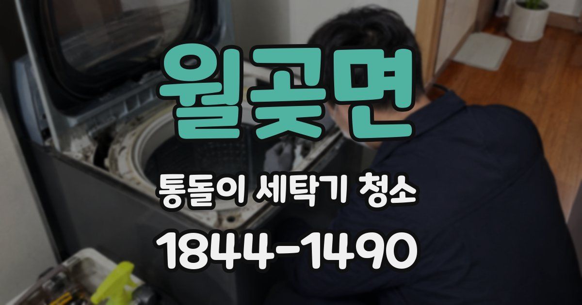월곶면 통돌이 세탁기 청소