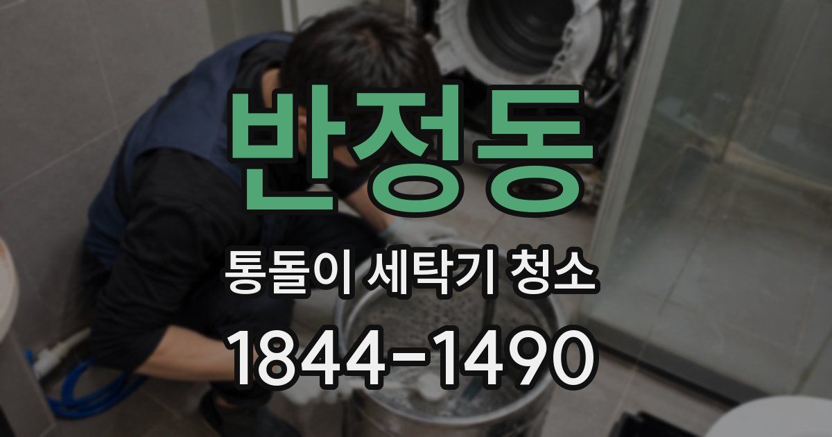 반정동 통돌이 세탁기 청소