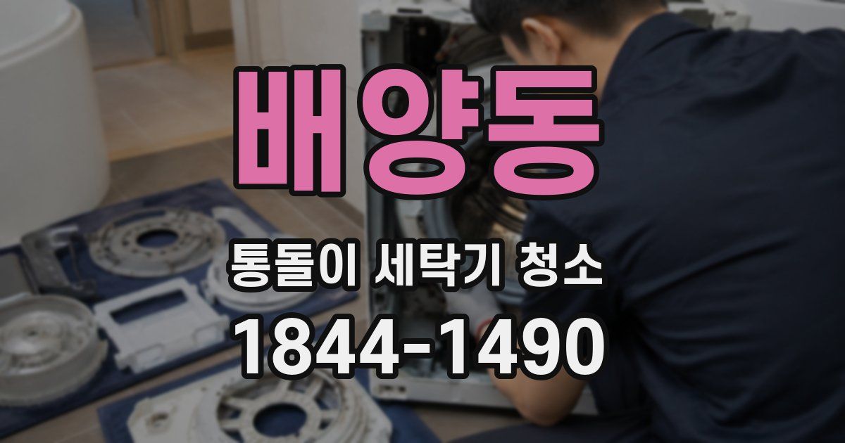 배양동 통돌이 세탁기 청소
