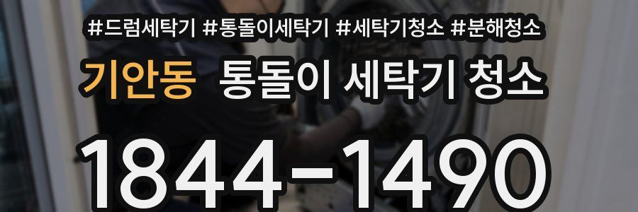 기안동 통돌이 세탁기 청소