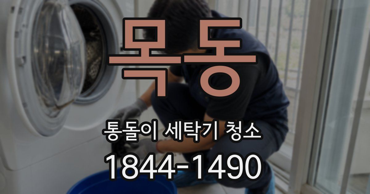 목동 통돌이 세탁기 청소