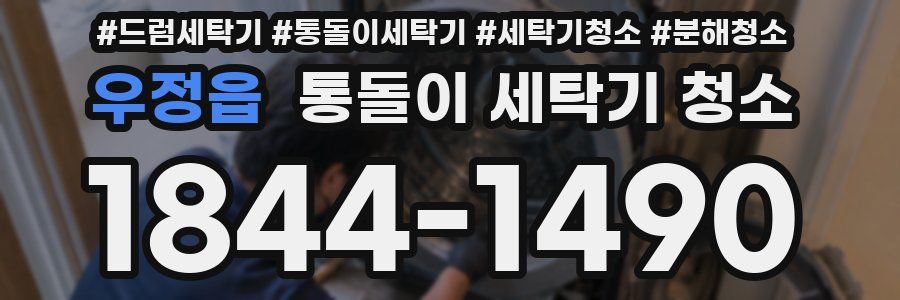 우정읍 통돌이 세탁기 청소