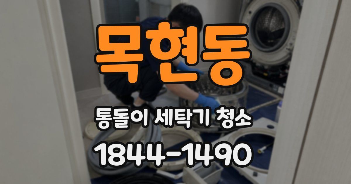 목현동 통돌이 세탁기 청소