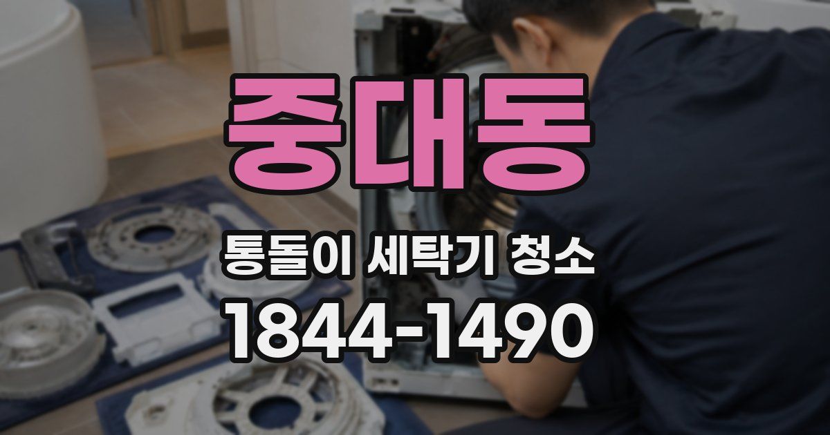 중대동 통돌이 세탁기 청소