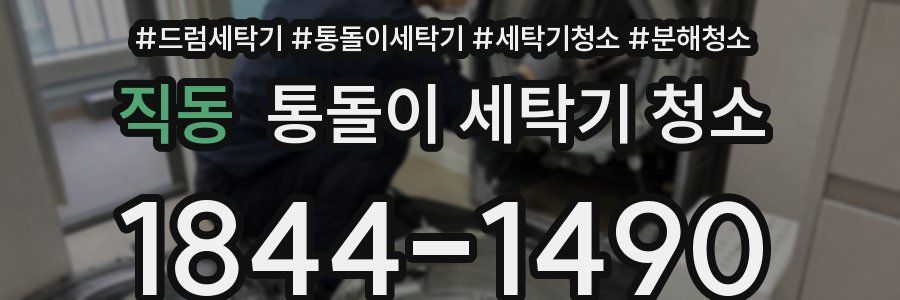 직동 통돌이 세탁기 청소