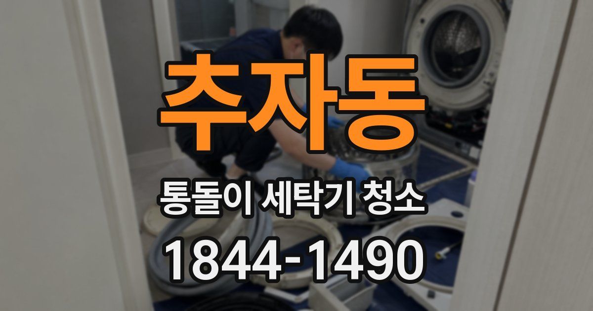 추자동 통돌이 세탁기 청소