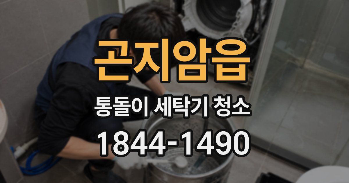 곤지암읍 통돌이 세탁기 청소