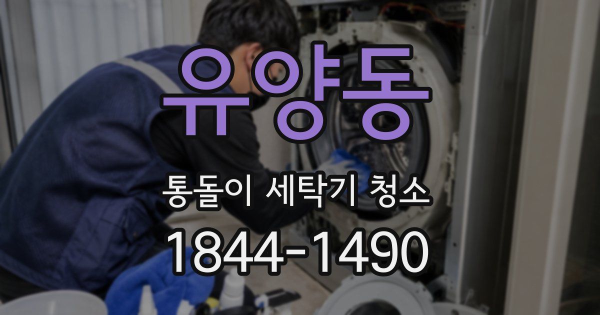 유양동 통돌이 세탁기 청소