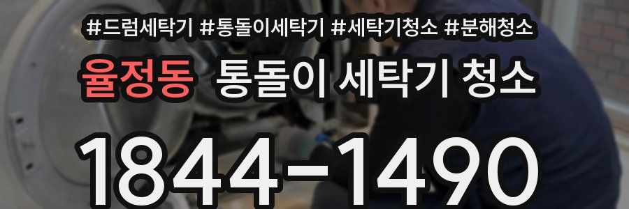 율정동 통돌이 세탁기 청소