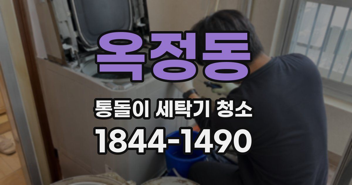 옥정동 통돌이 세탁기 청소