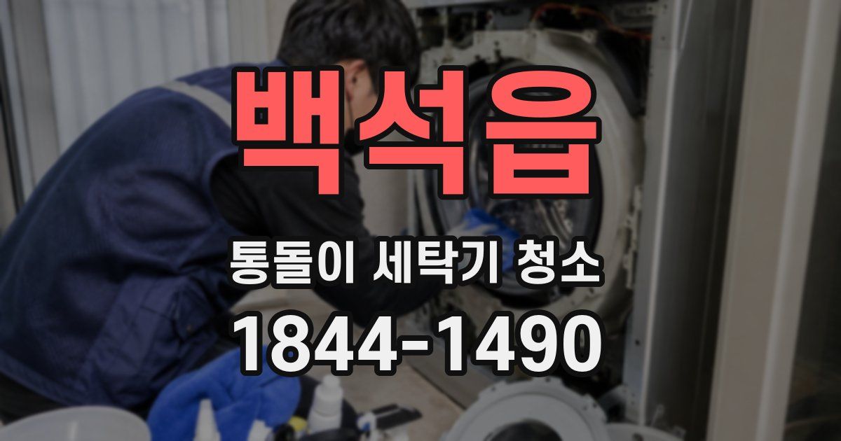 백석읍 통돌이 세탁기 청소