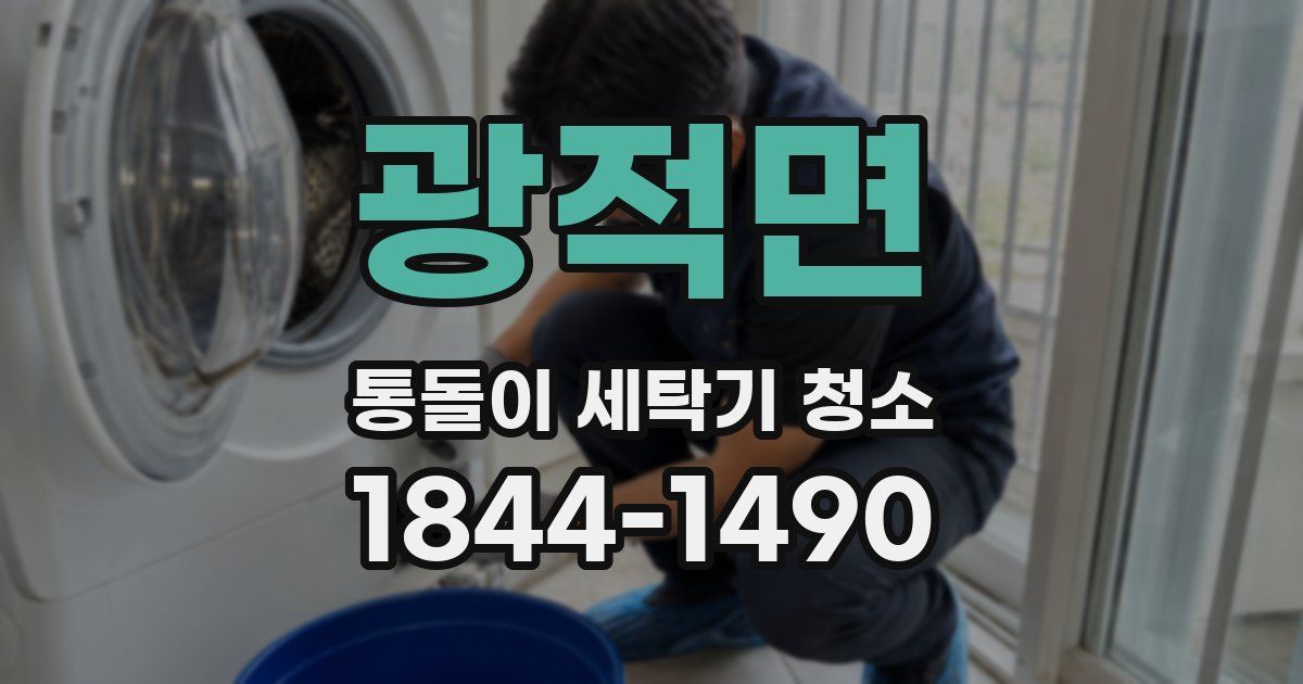 광적면 통돌이 세탁기 청소