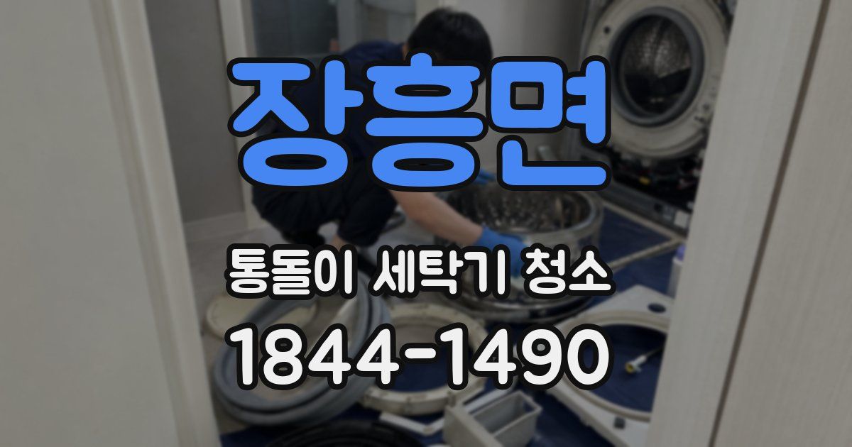 장흥면 통돌이 세탁기 청소