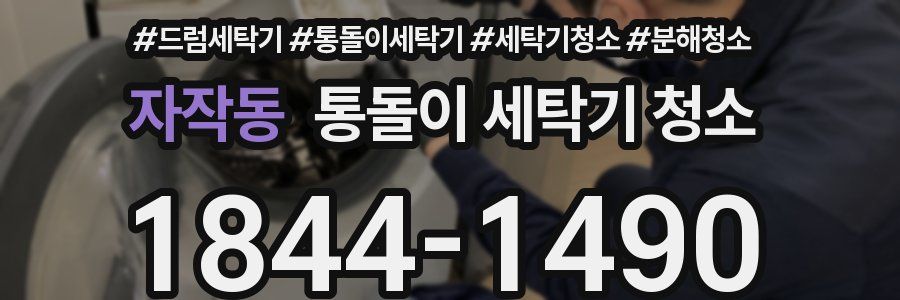 자작동 통돌이 세탁기 청소