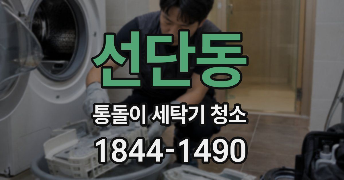 선단동 통돌이 세탁기 청소