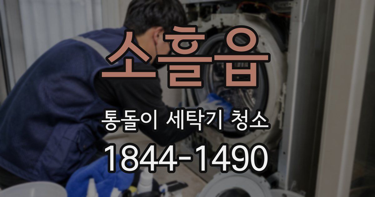 소흘읍 통돌이 세탁기 청소