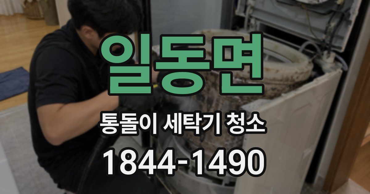 일동면 통돌이 세탁기 청소