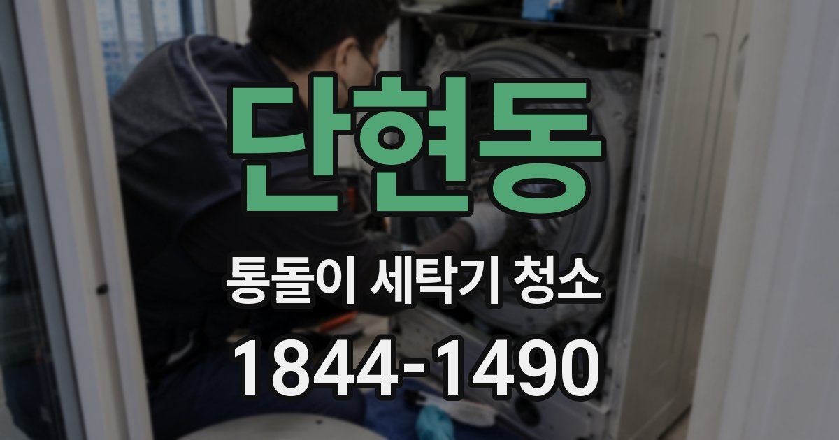 단현동 통돌이 세탁기 청소