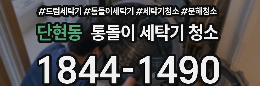 단현동 통돌이 세탁기 청소