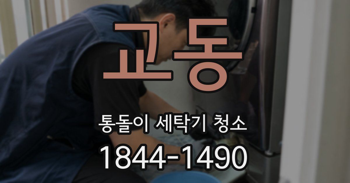 교동 통돌이 세탁기 청소