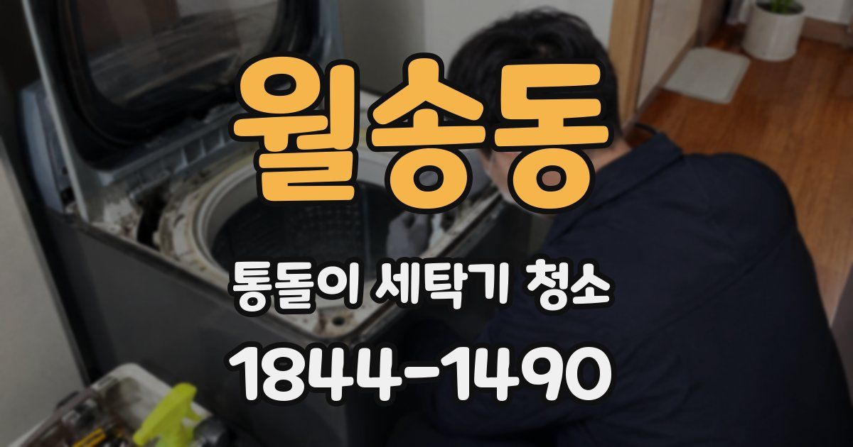 월송동 통돌이 세탁기 청소