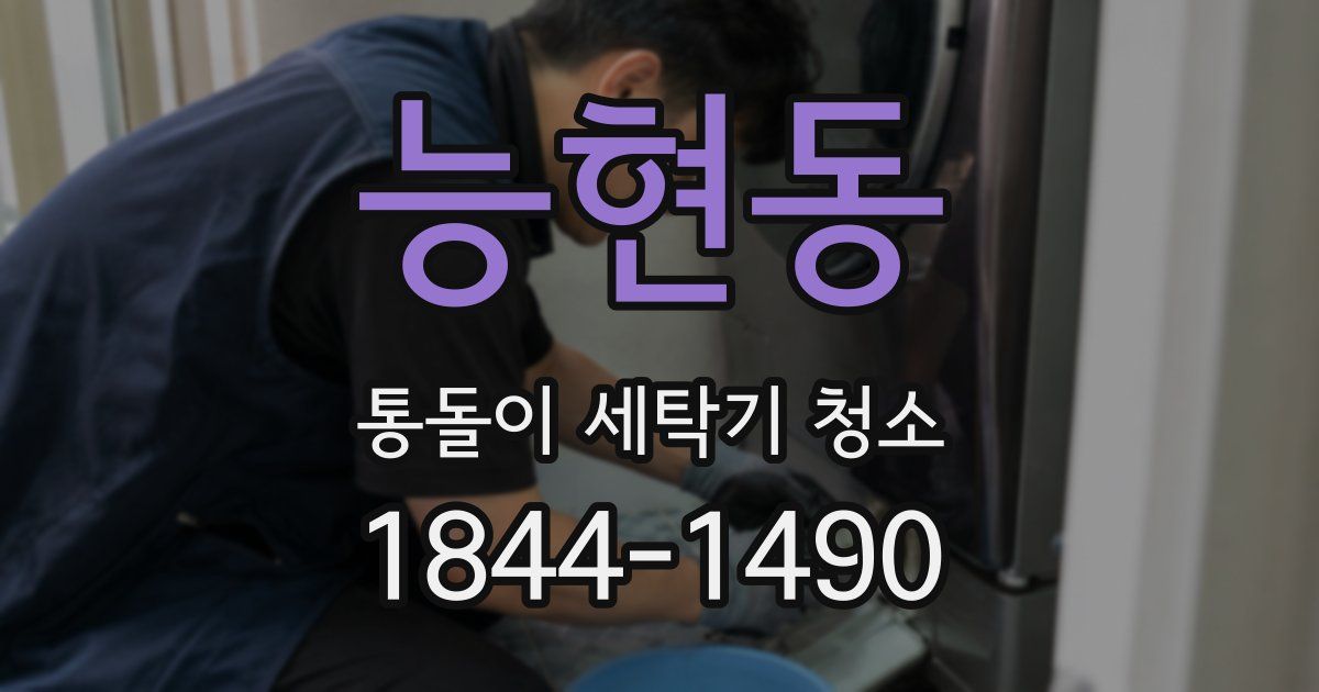 능현동 통돌이 세탁기 청소