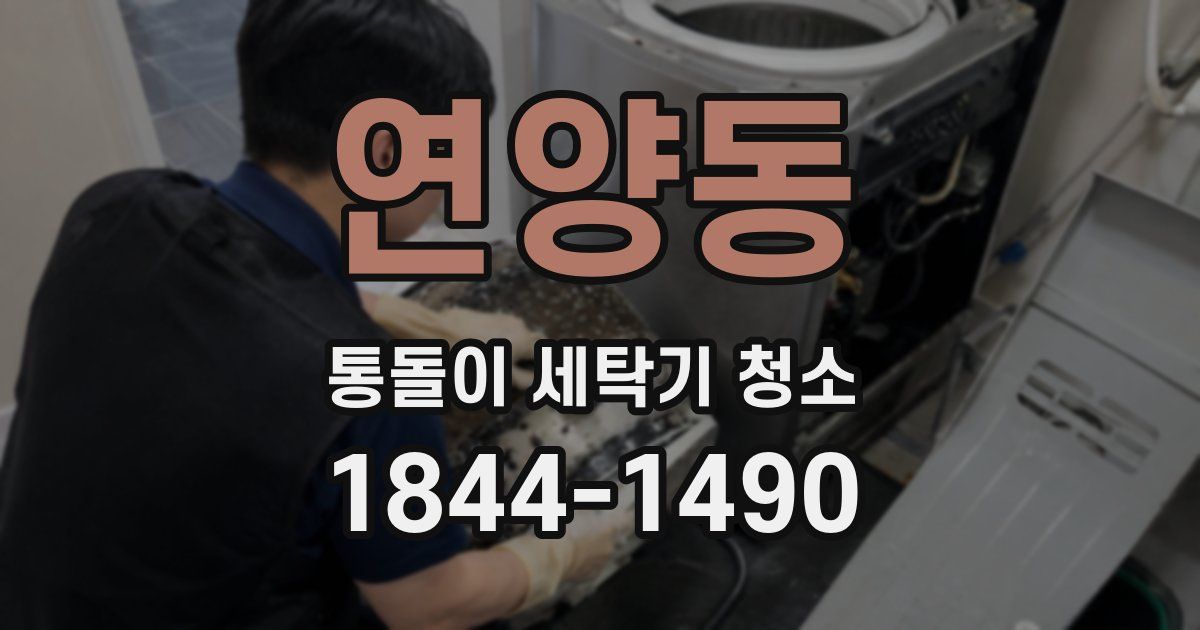 연양동 통돌이 세탁기 청소