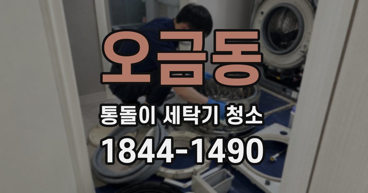 오금동 통돌이 세탁기 청소