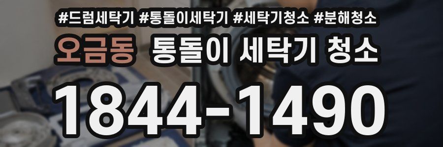 오금동 통돌이 세탁기 청소