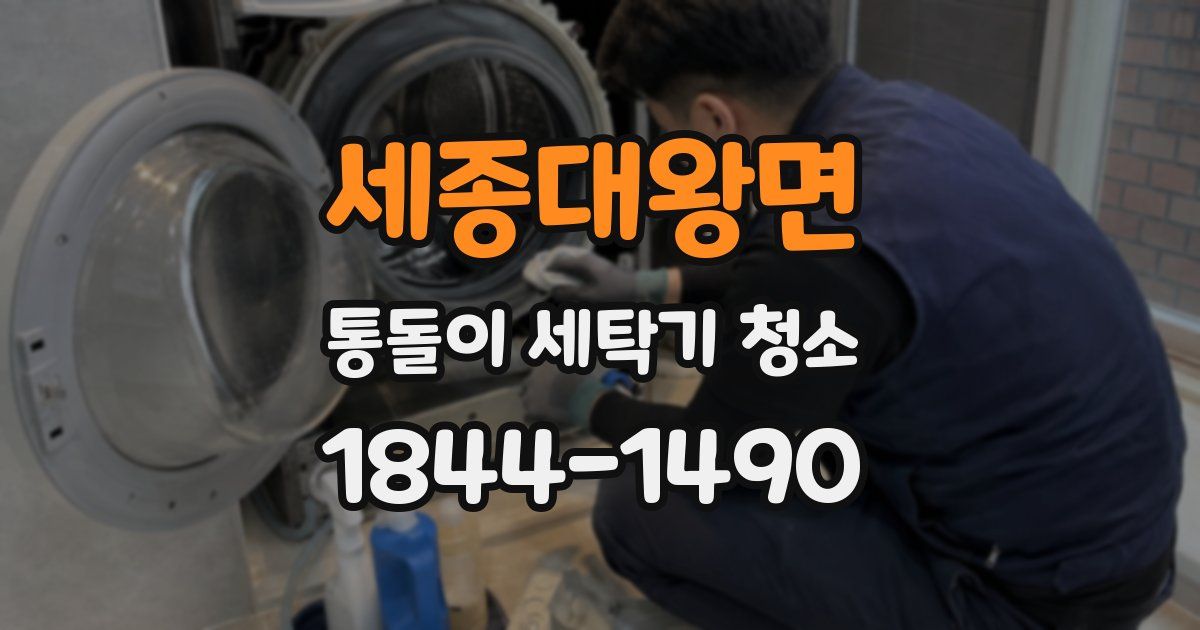 세종대왕면 통돌이 세탁기 청소