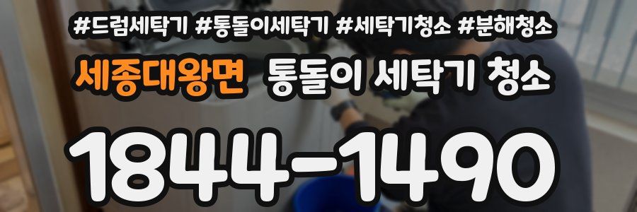세종대왕면 통돌이 세탁기 청소