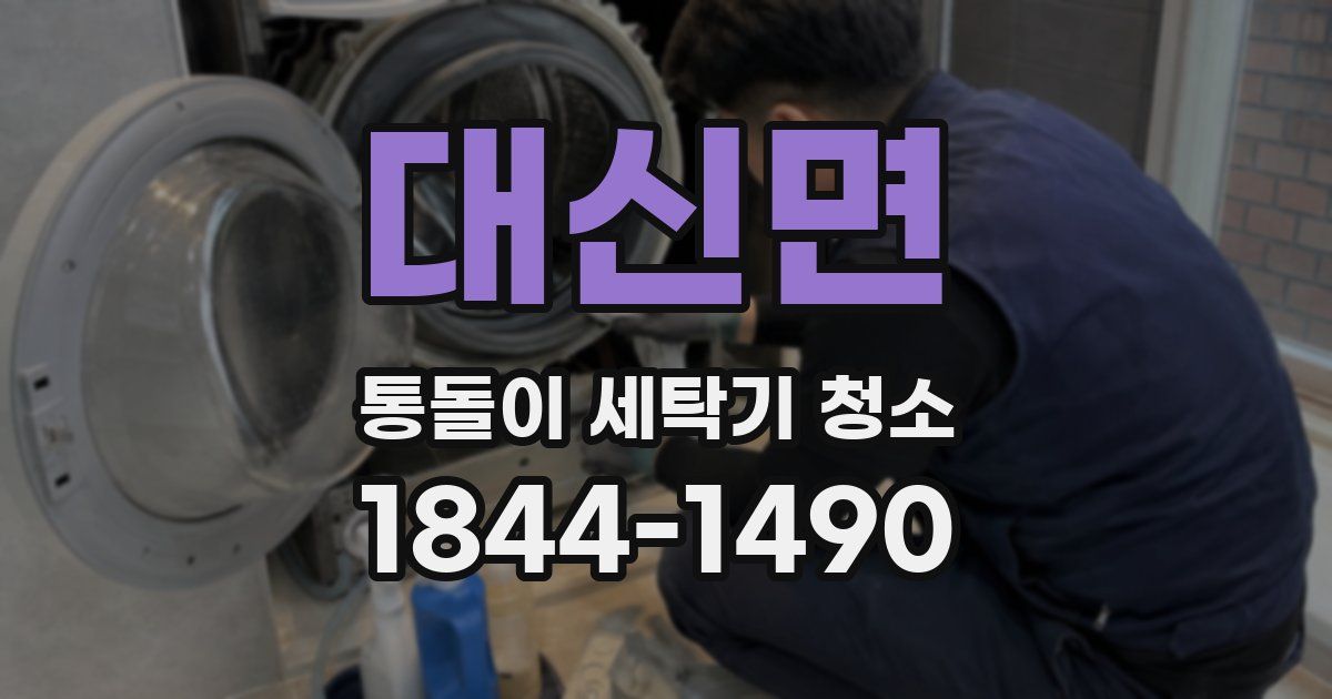 대신면 통돌이 세탁기 청소
