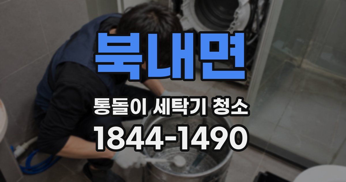 북내면 통돌이 세탁기 청소