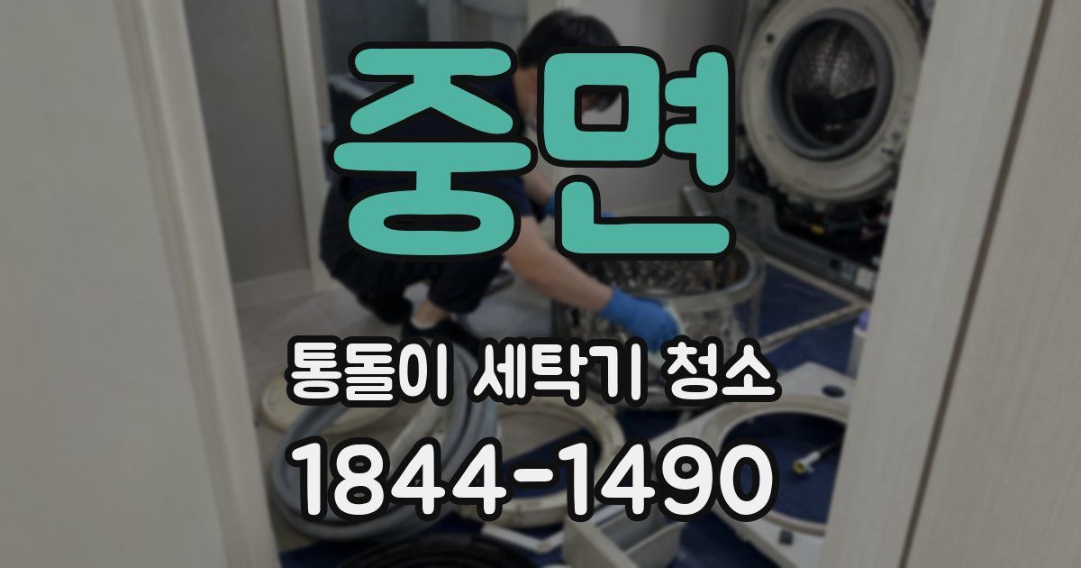 중면 통돌이 세탁기 청소