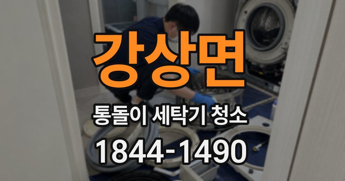 강상면 통돌이 세탁기 청소