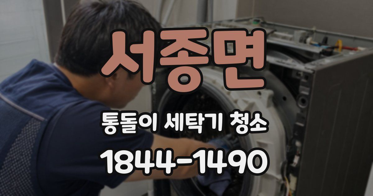 서종면 통돌이 세탁기 청소