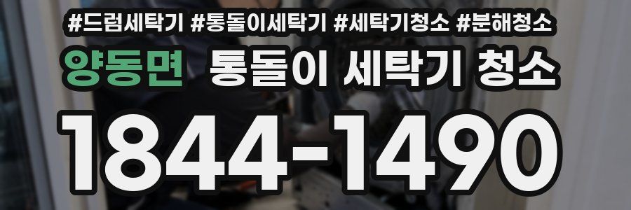 양동면 통돌이 세탁기 청소