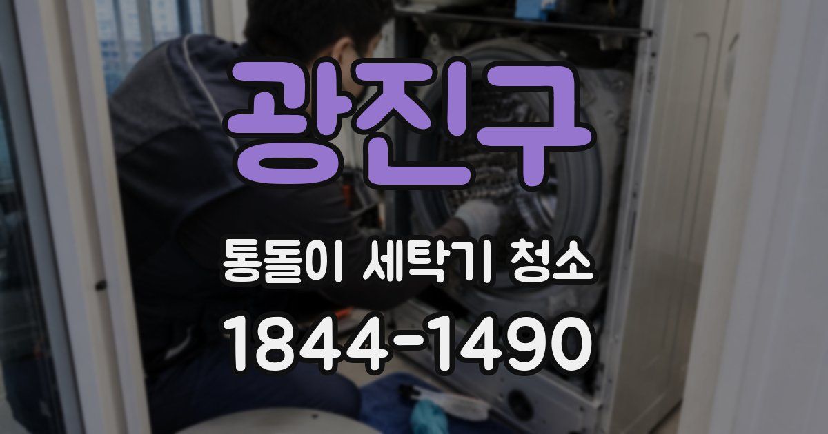 광진구 통돌이 세탁기 청소
