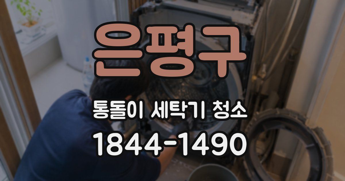 은평구 통돌이 세탁기 청소