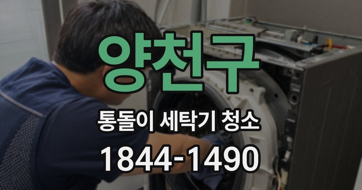 양천구 통돌이 세탁기 청소
