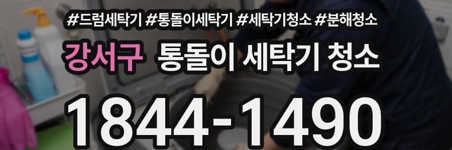 강서구 통돌이 세탁기 청소