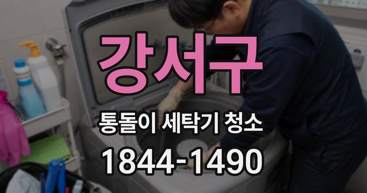 강서구 통돌이 세탁기 청소