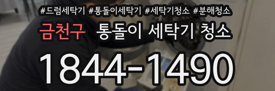 금천구 통돌이 세탁기 청소