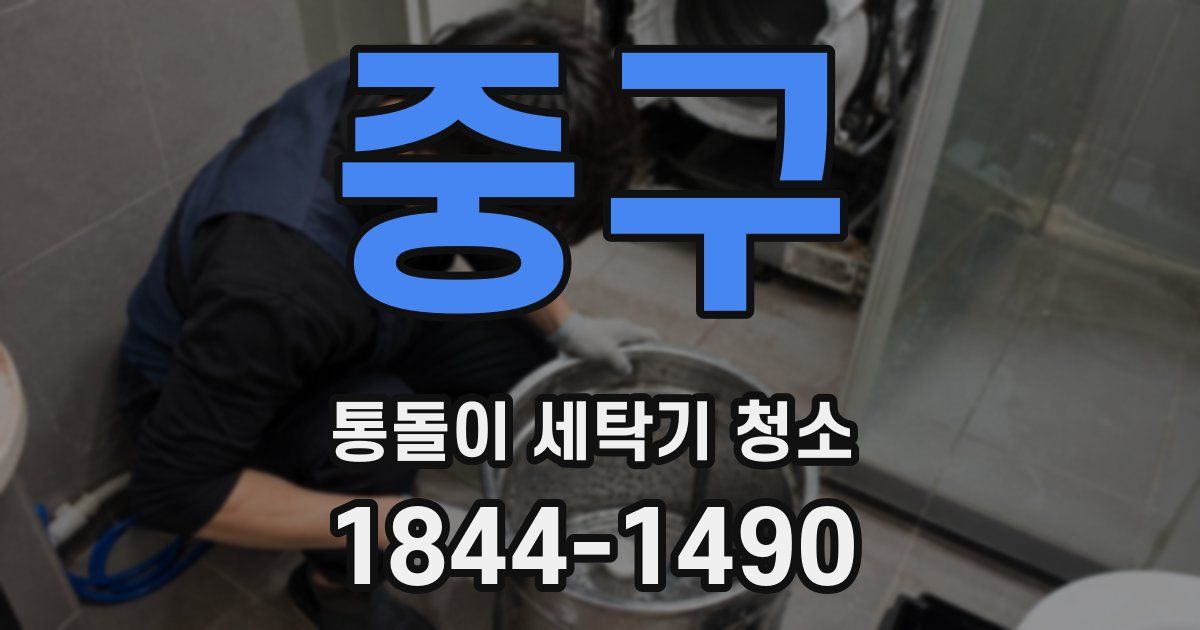 중구 통돌이 세탁기 청소