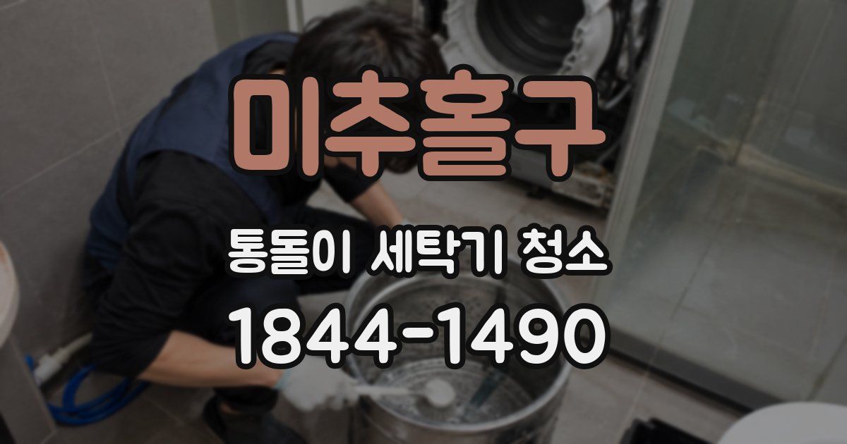미추홀구 통돌이 세탁기 청소
