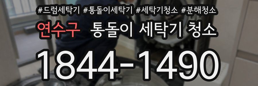 연수구 통돌이 세탁기 청소