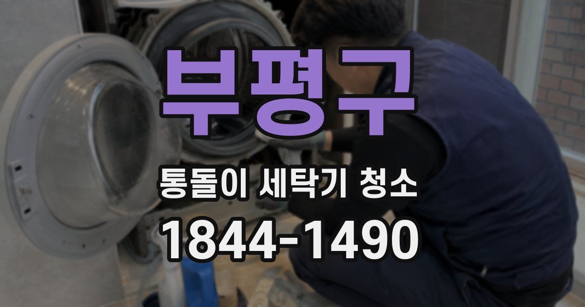 부평구 통돌이 세탁기 청소