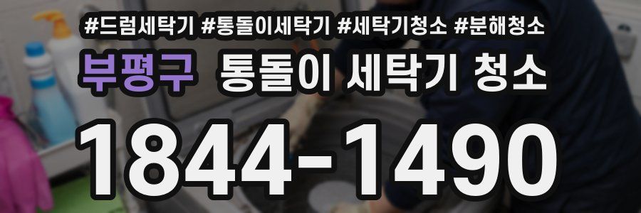 부평구 통돌이 세탁기 청소